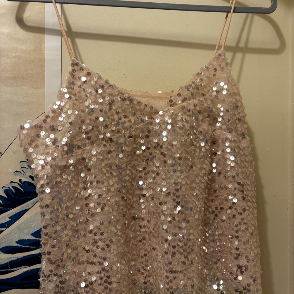Pink Sheer Sequin Top Size Small
